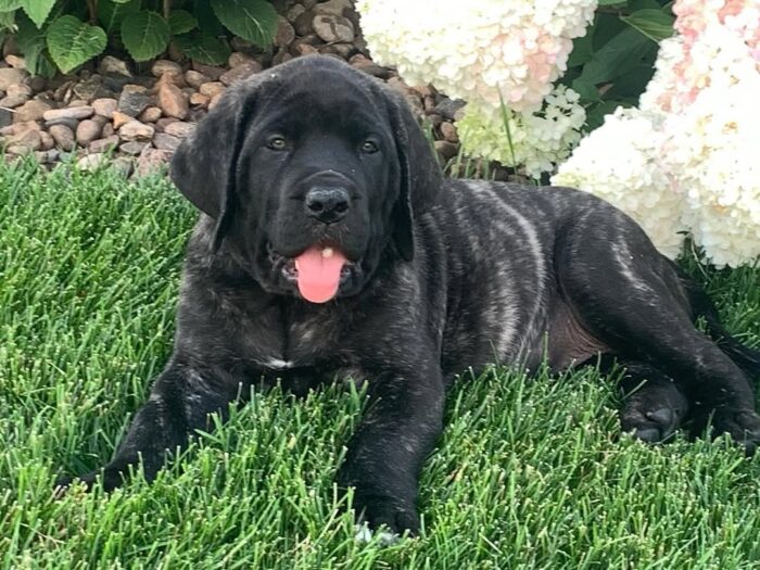 photo_2025-08-11_07-33-32 Rayna