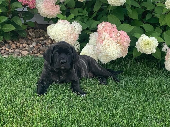 photo_2025-08-11_07-33-38 Rayna