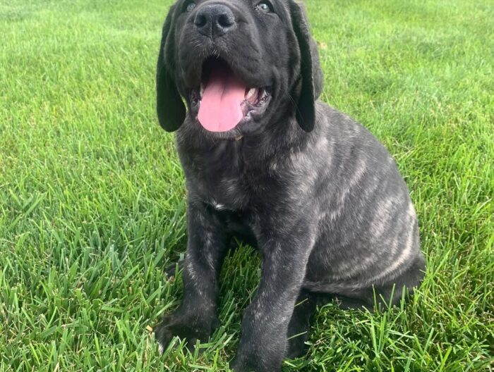 photo_2025-08-11_07-33-43 Rayna