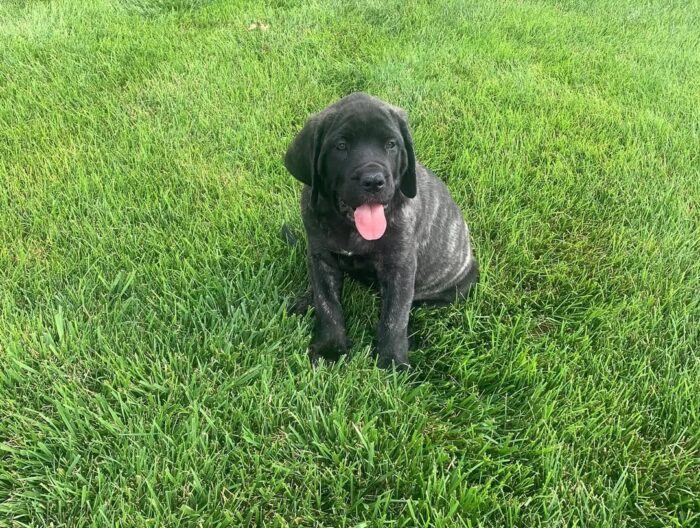 photo_2025-08-11_07-33-47 Rayna